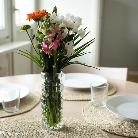 شقة Ydinkeskusta Kaksio Saimaa Naekymillae, Ac, Wifi, Parveke لابينرانتا